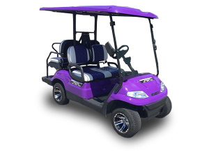 golf cart repair service, palm beach gardens cart repair pickup